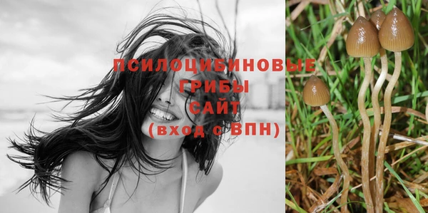 Альфа ПВП Арсеньев