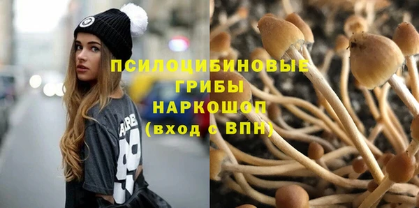 Альфа ПВП Арсеньев